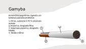 Įprastų cigarečių sudedamosios dalys 3 puslapis