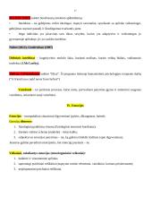 Bendroji psichologija - konspektai 17 puslapis