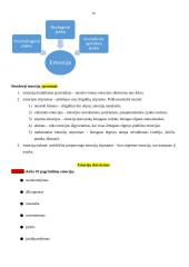 Bendroji psichologija - konspektai 18 puslapis