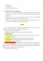 Bendroji psichologija - konspektai 6 puslapis