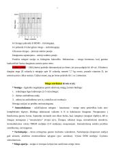 Bendroji psichologija - konspektai 7 puslapis