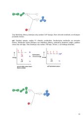 Cheminis ryšys 14 puslapis