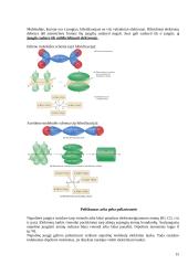 Cheminis ryšys 15 puslapis