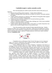 Cheminis ryšys 7 puslapis