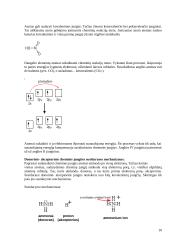 Cheminis ryšys 10 puslapis
