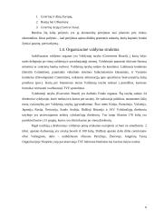 Centrinių bankų ryšiai su tarptautinėmis finansų institucijomis 6 puslapis