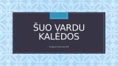 Knygos pristatymas "Šuo vardu Kalėdos"