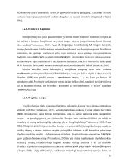 Komunikacinė herojiškumo archetipo raiška Marvel kino studijos filmų epopėjoje ,,Begalybės saga“  12 puslapis