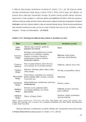 Komunikacinė herojiškumo archetipo raiška Marvel kino studijos filmų epopėjoje ,,Begalybės saga“  20 puslapis