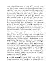 Ląstelių pernaša 2 puslapis