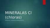 Mineralas Cl (chloras)