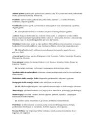 Dailės terapija 3 puslapis