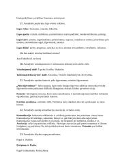 Dailės terapija 4 puslapis