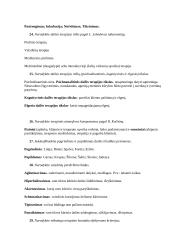 Dailės terapija 5 puslapis