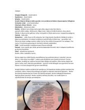 Apysakos „Gyvulių ūkis“ aprašymas 2 puslapis