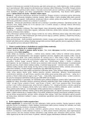 Darbo organizavimo teorija 2 puslapis