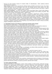 Darbo organizavimo teorija 6 puslapis