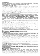 Darbo organizavimas ir normavimas 3 puslapis