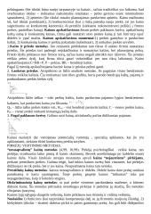 Darbo organizavimas ir normavimas 7 puslapis