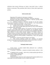 Darbo sutarties pasirašymas 3 puslapis