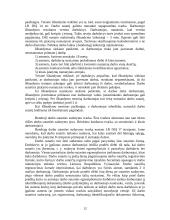 Darbo sutarties pasirašymas 9 puslapis