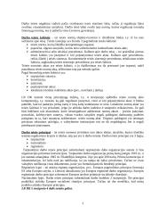 Darbo teisė (konspektas) 3 puslapis