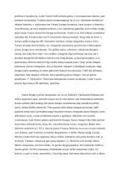 Kodėl jaunas žmogus dažnai jaučiasi nesuprastas? 2 puslapis