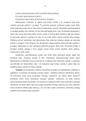 Darbuotojų saugos struktūros 11 puslapis