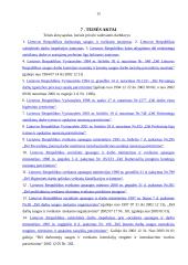 Darbuotojų saugos struktūros 13 puslapis