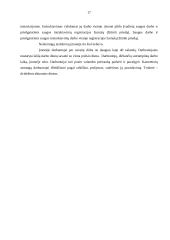 Darbuotojų saugos struktūros 15 puslapis