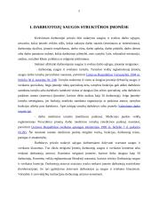 Darbuotojų saugos struktūros 3 puslapis