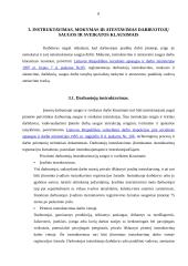 Darbuotojų saugos struktūros 6 puslapis