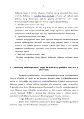 Darbuotojų saugos struktūros 7 puslapis