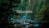 Džiunglės ir Amazonija