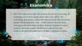Džiunglės ir Amazonija 18 puslapis