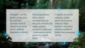 Džiunglės ir Amazonija 20 puslapis