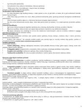 Delinkventinės pedagogikos teorija 14 puslapis