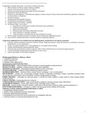 Delinkventinės pedagogikos teorija 4 puslapis