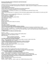 Delinkventinės pedagogikos teorija 5 puslapis