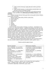 Didaktika ir pradinis mokymas 2 puslapis