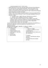 Didaktika ir pradinis mokymas 13 puslapis