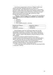 Didaktika ir pradinis mokymas 18 puslapis