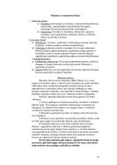 Didaktika ir pradinis mokymas 19 puslapis