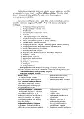 Didaktika ir pradinis mokymas 3 puslapis