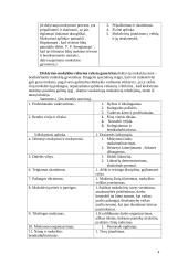 Didaktika ir pradinis mokymas 4 puslapis