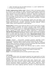 Konstitucinės teisės paskaitų konspektas 2 puslapis