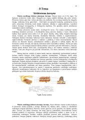 Mityba ir virškinimas (konspektas) 15 puslapis