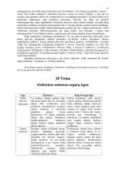 Mityba ir virškinimas (konspektas) 17 puslapis