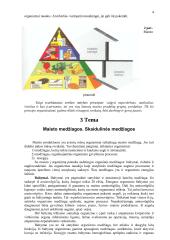 Mityba ir virškinimas (konspektas) 4 puslapis