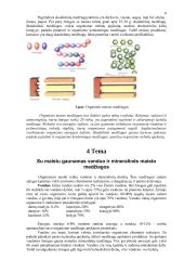 Mityba ir virškinimas (konspektas) 6 puslapis